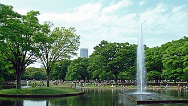 代代木公園